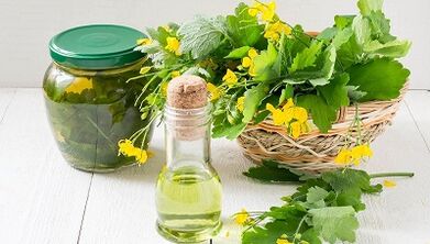 decocción de Celandine para el tratamiento del hongo de las uñas